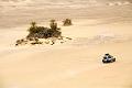 egypte desert libyque 27